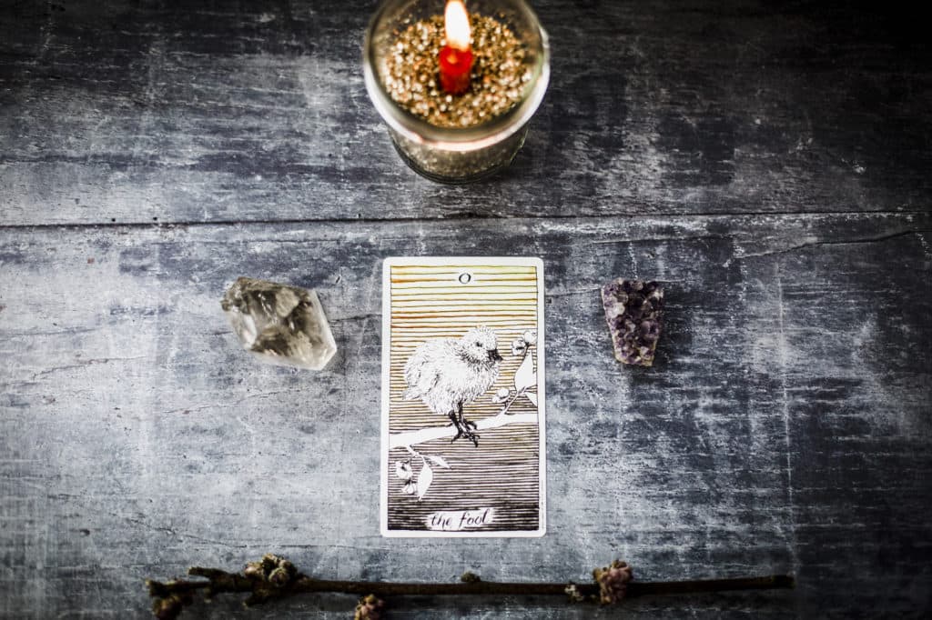 Learn Tarot:  The Fool Card