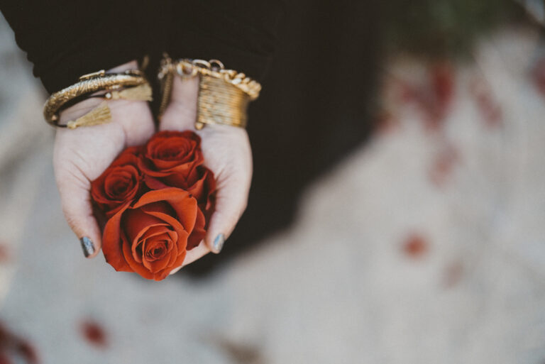 two hands offering red roses