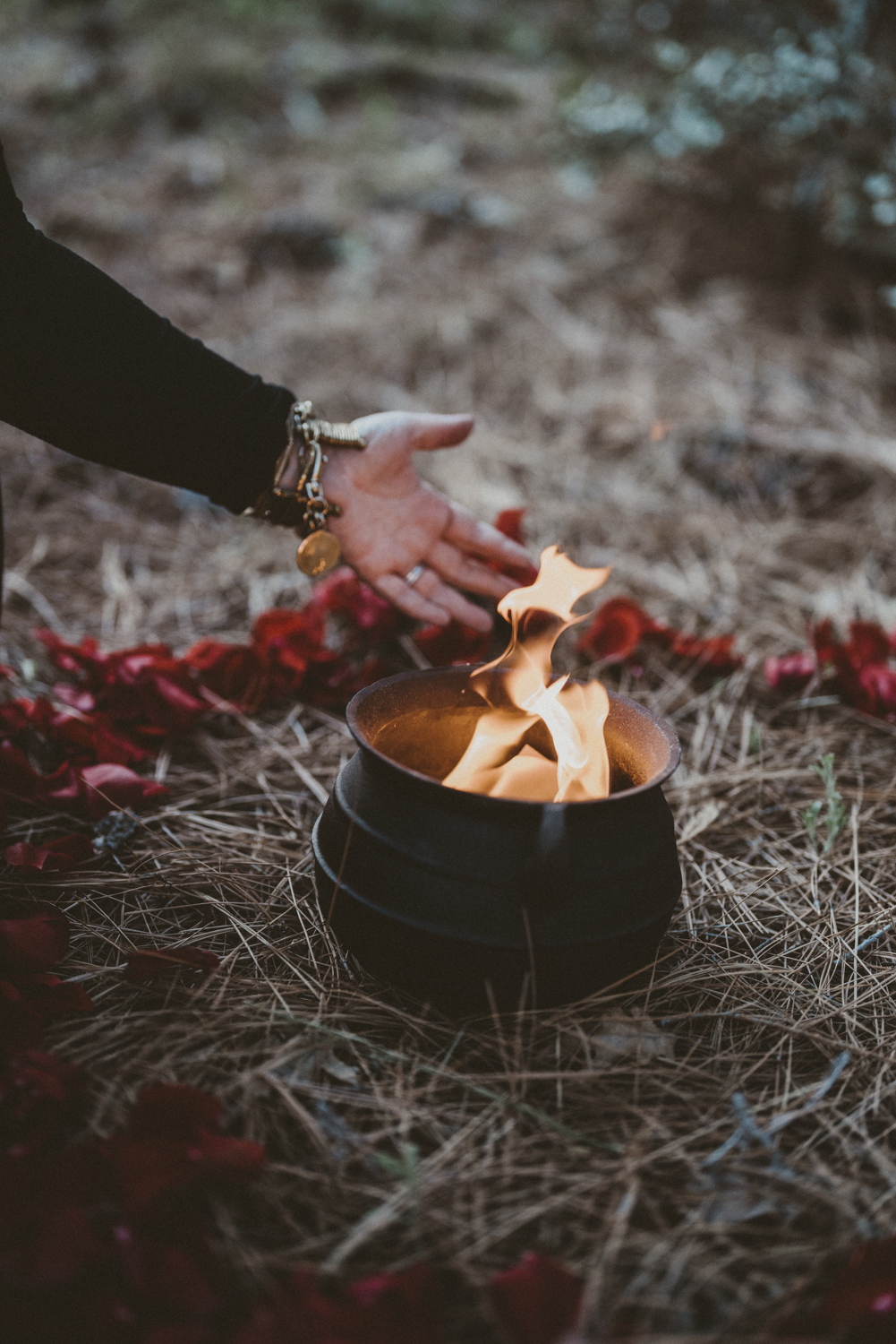 cauldron in a circle of red rose petals, with flames inside